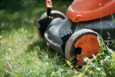 An orange lawnmower cutting long grass